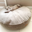 Funda para Cama Cozy Circular arena