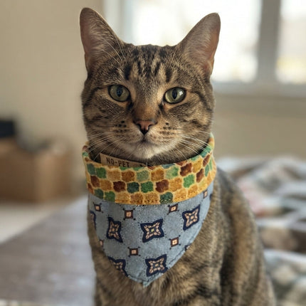 Bandana algodón reversible