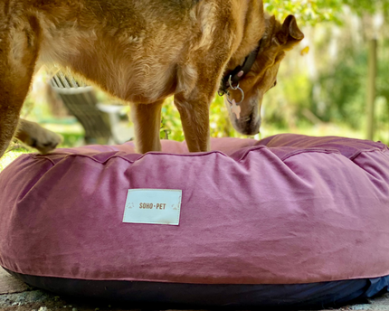 Cama Cozy Circular felpa rosa