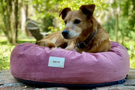 Cama Cozy Circular felpa rosa