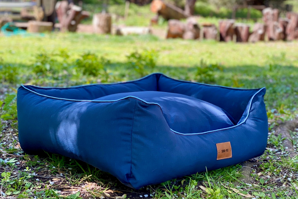 Cama modelo Lounge azul 💙