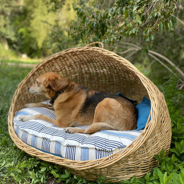 Cama grande de mimbre ovalada con techo
