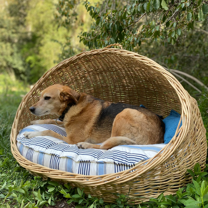 Cama grande de mimbre ovalada con techo