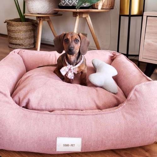 Cama modelo Lounge tapicería Rosa pastel