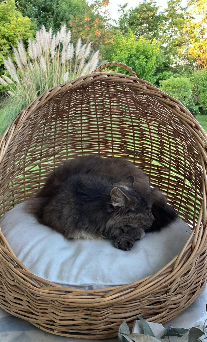 Cama pequeña mimbre natural ovalada con techo