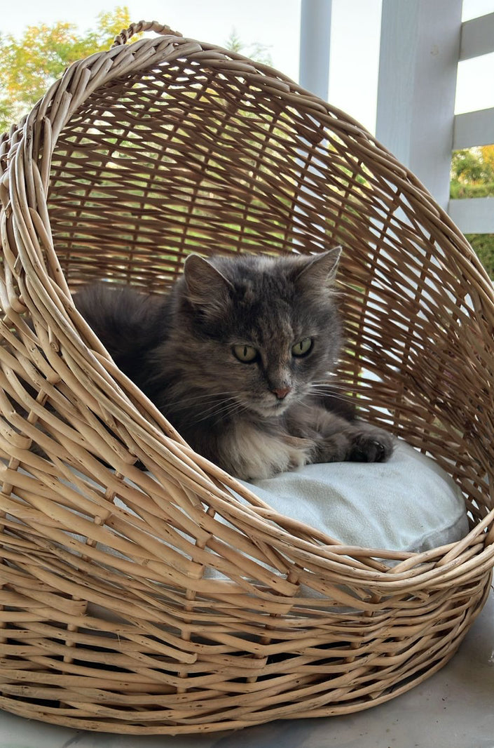 Cama pequeña mimbre natural ovalada con techo