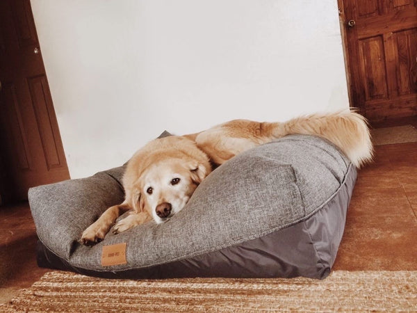 Cama Cozy Nap tapicería  gris medio