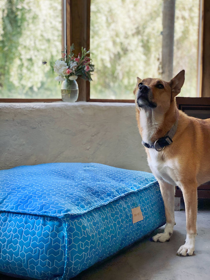 Cama Cozy Pouff  Prusia
