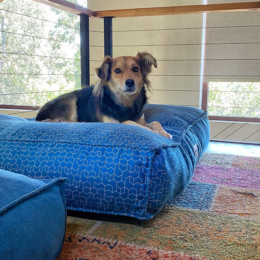 Cama Cozy Pouff  Prusia