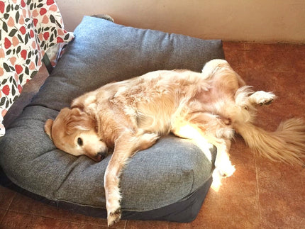 Funda para cama  Cozy Nap