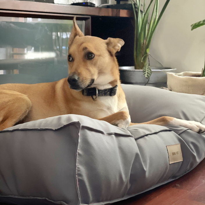 Cama Cozy Pouff  gris perla  impermeable 💧🐾