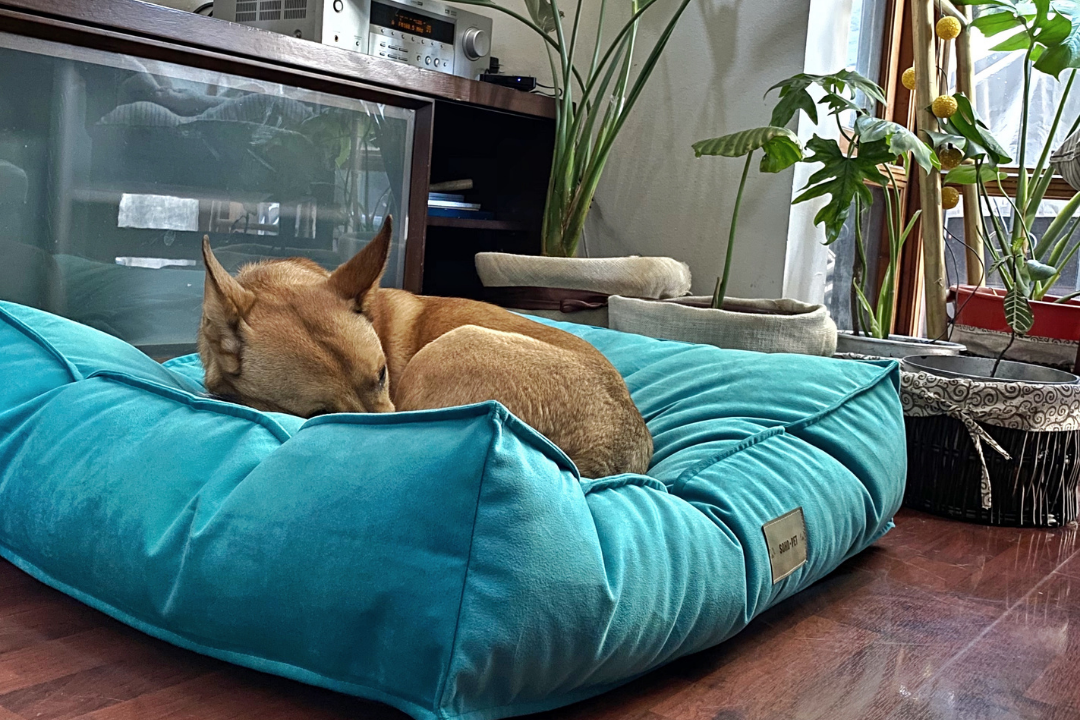 Cama Cozy Pouff felpa Turquesa