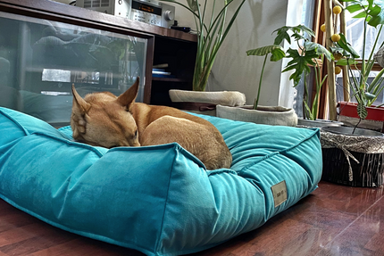 Cama Cozy Pouff felpa Turquesa