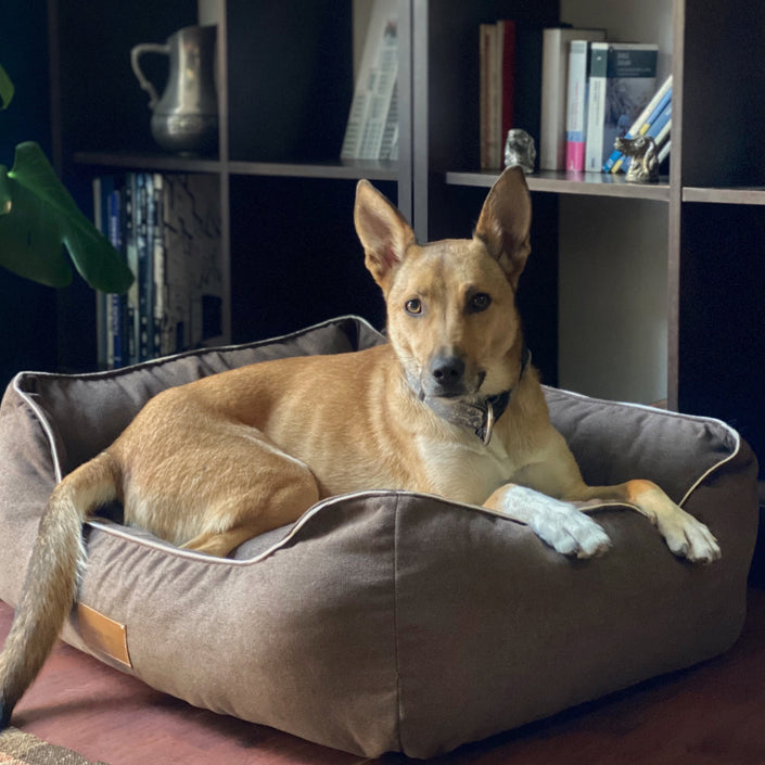 Cama Lounge tapicería Chocolate