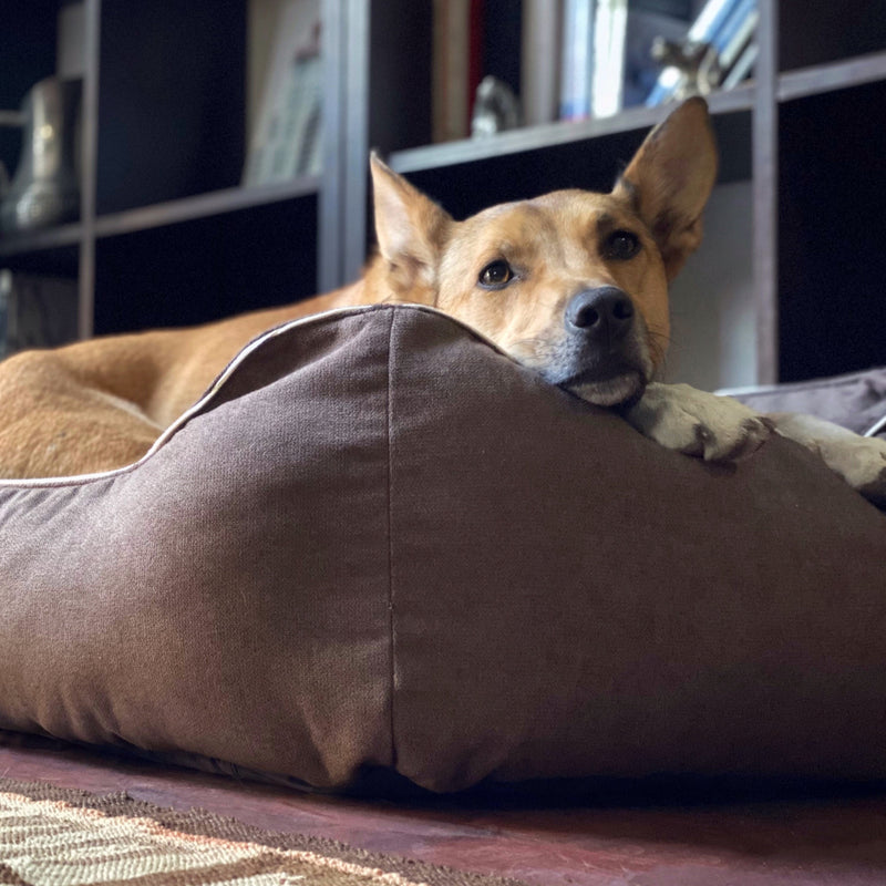 Funda para cama modelo Lounge tapicería Chocolate 🤎