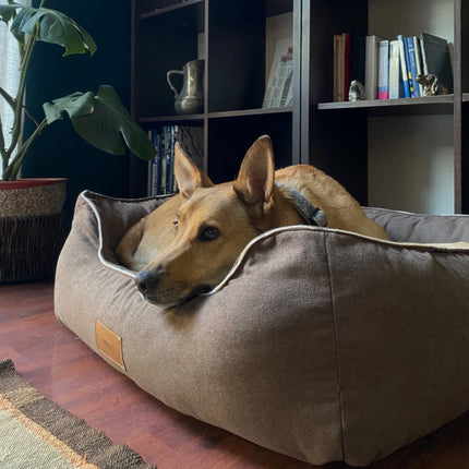 Funda para cama modelo Lounge tapicería Chocolate 🤎