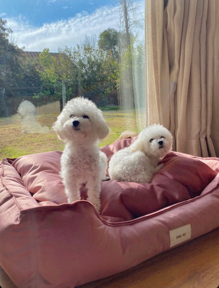 Cama Lounge Felpa Rosa  🌸