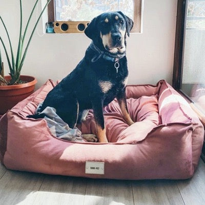 Cama Lounge Felpa Rosa Viejo 🌸