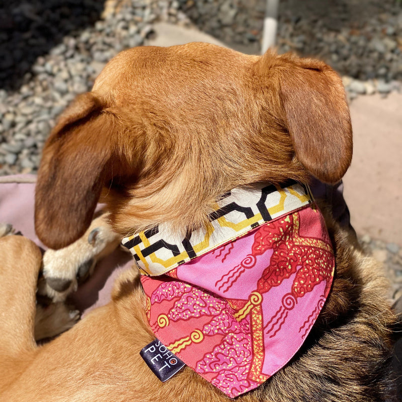 Bandana algodón reversible