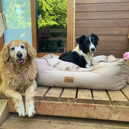 Cama impermeable para perros – cómoda, lavable y resistente color beige