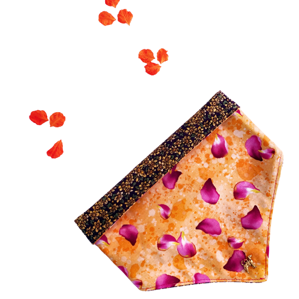 Bandana algodón reversible