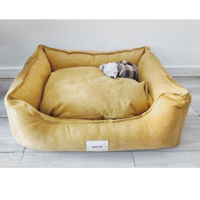 Cama Lounge Oro ✨