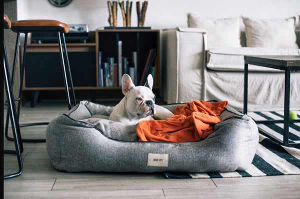 Cama Lounge Gris claro